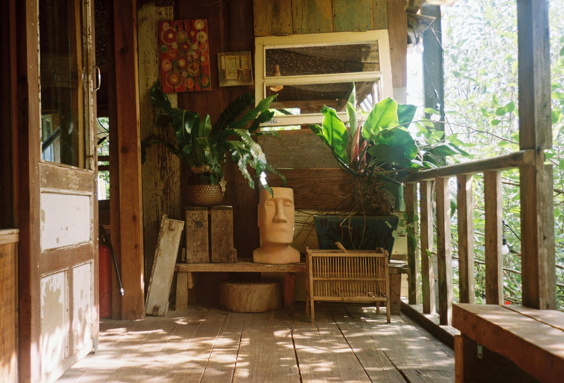 Tallow Balm vs Lotion: What’s the Difference