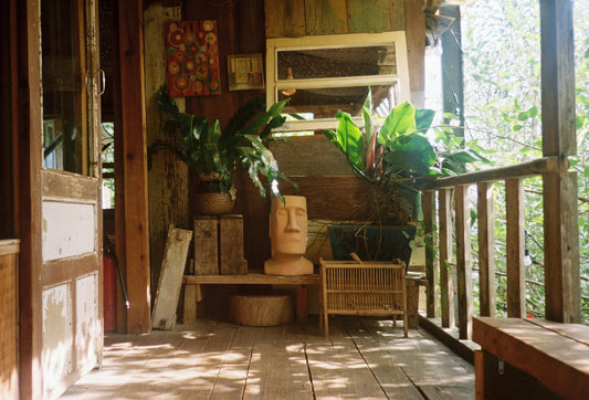 Tallow Balm vs Lotion: What’s the Difference